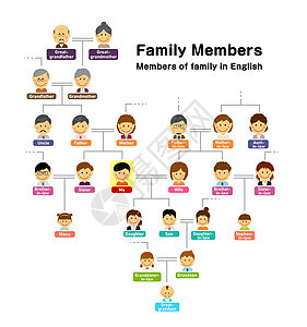 家用树家庭成员矢量插图图表母亲祖母夫妻孩子学校女士爸爸表哥男人图片