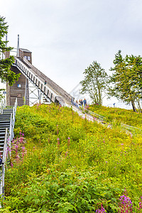 从全景观看德国沃姆贝格布劳伦拉基哈茨的山地景观云杉旅行天空山脉树木目的地山峰顶峰旅游松林图片