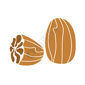 包装设计图标Nutmeg 用于坚果和种子包装设计手工绘制的图形元素背景