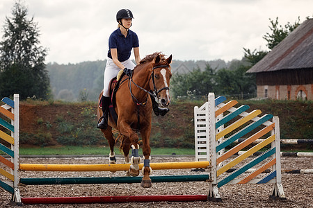 活跃的女骑师训练骑马跳过栅栏 马术运动比赛和活动图片