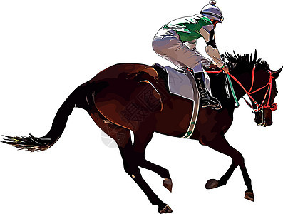赛马和赛马骑手在赛马比赛中 孤立于白色背景骑士马术速度杯子展示跑步良种跑马场运动派对图片