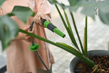 种植园艺 业余爱好 家庭生活概念 为植物和花卉浇水;在果树和鲜花中用自来水浇水图片