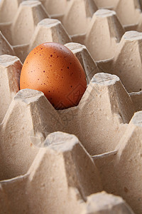 一个鸡蛋在托盘里 孤单的鸡蛋图片