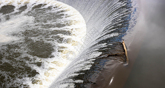 这只鸟坐在一个人工河流大坝上 小瀑布之上的木头上力量旅游阴霾峡谷游客假期荒野溪流风景流动图片
