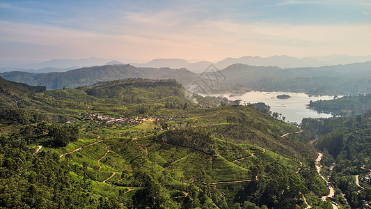 从亚当峰到达尔豪西村 茶叶种植园 湖泊的景象 11月1日至12月31日场地农场摄影农田绿色气候茶花生长叶子环境图片