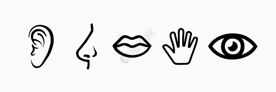 5种人类感官的视觉 嗅觉 听觉 触摸 品味 简单的线条图标图片