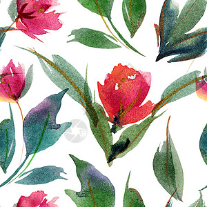 水彩色无缝的图案印花布全身插图香水墙纸纺织品牡丹花园印花包装纸图片