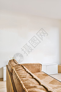 棕褐色浅色沙发图片