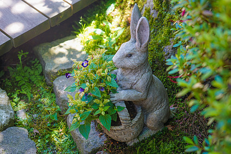 兔子雕像和新鲜绿色图片