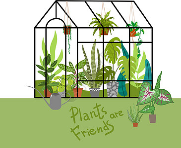 家庭种植矢量插图 城市丛林 植物是朋友播种机花园园艺竹芋温室树叶湿气植物群房间热带图片