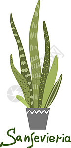 家庭种植矢量插图 城市丛林 植物是朋友房间园艺叶子花园温室植物群热带播种机湿气树叶图片