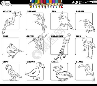 带有鸟类动物字符设置颜色页面基本颜色的基本颜色图片