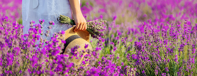 一个在紫衣草田里的孩子 有选择的焦点帽子香气女孩收成农田横幅熏衣草女性香味裙子背景图片