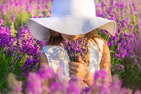 一个在紫衣草田里的孩子 有选择的焦点植物群紫色熏衣草花朵植物香气农场女性女孩场地背景图片