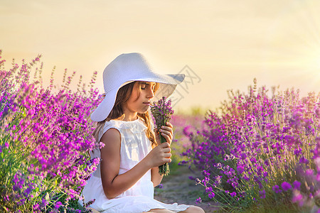 一个在紫衣草田里的孩子 有选择的焦点女性农田裙子植物群香气幸福熏衣草女孩头发童年图片