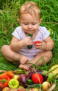 孩子手里握着蔬菜 有选择的专注点生长叶子营养茄子农场孩子们生物婴儿幸福女孩图片