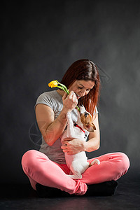 快乐微笑的红发女人抱着一只有趣的小狗 嘴里叼着一朵黄色的郁金香 快乐的主人在黑色背景中与狗杰克罗素梗玩耍衣领犬类母亲动物哺乳动物图片