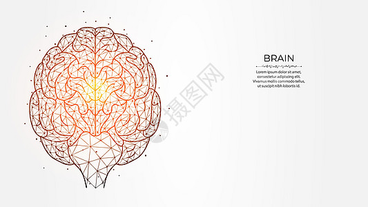 人类大脑在光背景上的抽象多边形矢量图解 理想的一代概念 神经学创作横幅 模板或背景 (笑声)图片