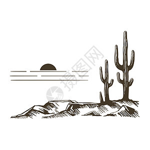 亚利桑那州的仙人掌场景草原岩石草图沙漠卡通片插图艺术绘画旅行图片
