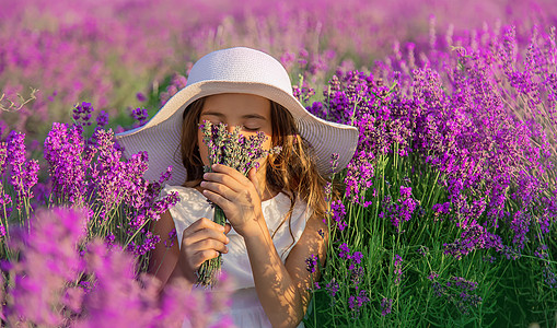 一个在紫衣草田里的孩子 有选择的焦点裙子熏衣草女孩农田农村童年香气紫色农场农业图片