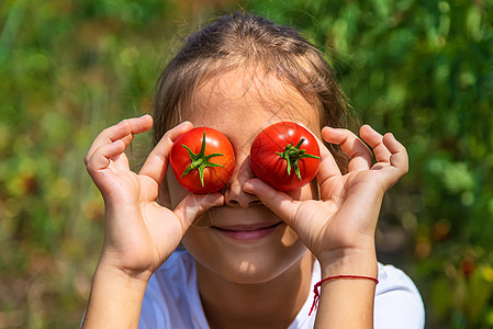 孩子在花园里收获番茄 有选择地集中注意力生长食物园艺女孩收成植物叶子国家横幅乐趣图片