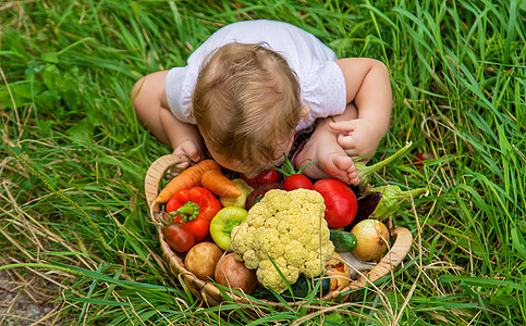 孩子手里握着蔬菜 有选择的专注点家庭收成女孩洋葱生物青菜孩子们营养叶子农场图片