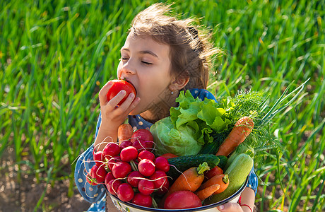 孩子手里握着花园里的很多蔬菜收获 有选择地集中精神 有选择的焦点营养萝卜帮助房子青菜维生素收成生态黄瓜帽子图片