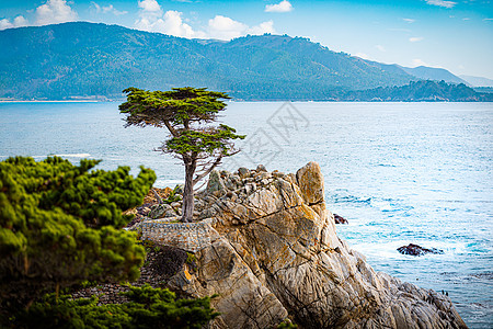 岩上树上的岩石背景的海洋娱乐风景旅行天空公路支撑海浪海岸旅游公园图片