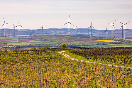 德国能源转型所需的许多风力涡轮机风力农场前面的养殖场和田地图片