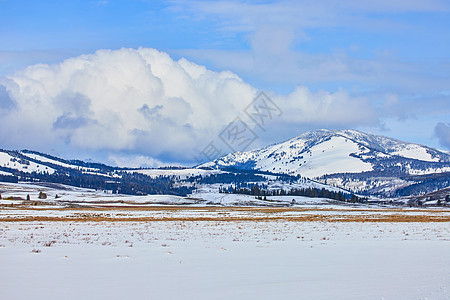 开阔的田地 有惊人的积雪覆盖的山丘图片