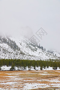 黄石公园雾覆盖的雪山顶图片