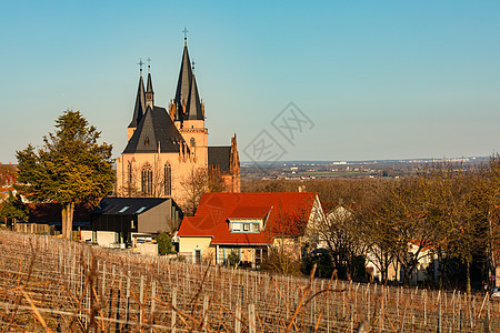 奥本海瑞因市奥本海的景色葡萄园 与德国著名的圣凯瑟琳教堂图片