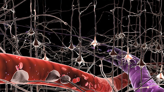 中枢和突触是医学插图冲动树突信号生物电气生物学功能科学神经元网络图片