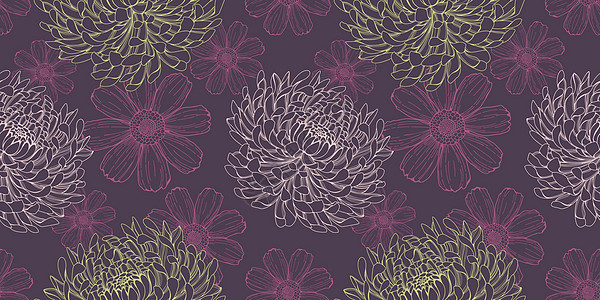 花朵紫紫色无缝模式 带有菊香和宇宙鲜花图片