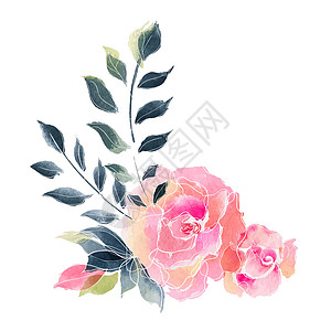 玫瑰花束 水彩花花的成分菜单花环插图热带情调花园问候语暗紫色设计边界图片