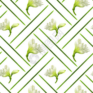 绿色细胞上的白色无缝图案的白色突起虫状植物群星星纺织品香气花园织物压痛艺术包装纸艺术品图片