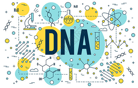 bDna科学背景 研究大纲图标 生物技术和医疗要素 线性科学概念 细线矢量设计图片