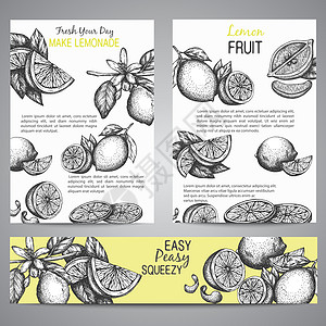 柠檬小册子系列手绘矢量图 带叶子 复古黄色背景 整个柠檬 切片 一半 叶子和果皮图片