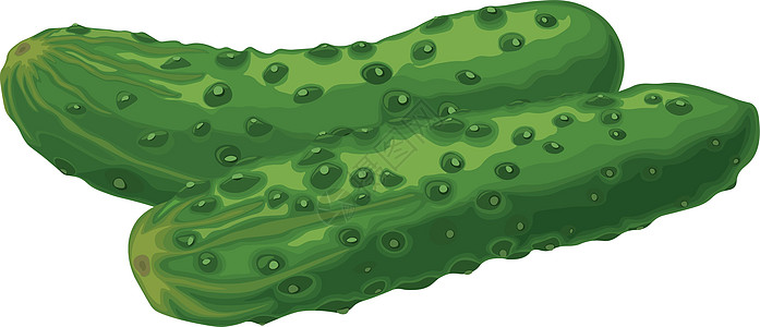 绿色黄瓜 成熟的绿色黄瓜的图像 绿色素食产品 在白色背景上孤立的矢量图食物插图卡通片水果剪贴厨房植物营养烹饪沙拉图片