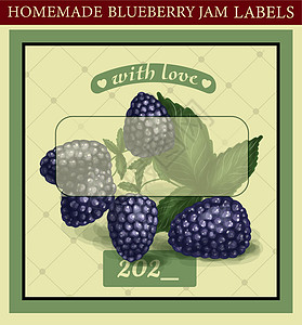 贾米·贾姆的家居贾姆 蓝莓 罐头标签图片