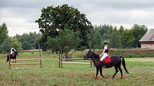 年轻女孩在田野里无鞍骑马 骑马 训练和康复哺乳动物舞步女骑士成人活动螺柱良种女性宠物马术图片