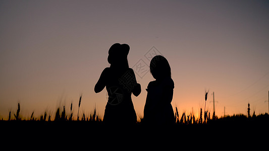 2名身着服装的年轻女子在日落背景的小麦田上露台 日落时女孩的黑色轮廓图片