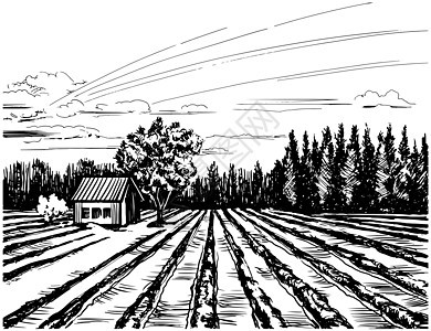 农业地貌与房屋图片