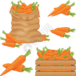 胡萝卜 在袋子 盒子和中的胡萝卜图像 成熟的橙色胡萝卜 来自花园的新鲜蔬菜 有机素食图片