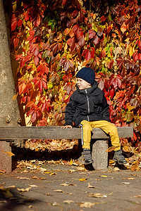 秋季公园里 可爱悲伤男孩的户外秋季肖像 头戴蓝色帽子 身穿黑色夹克 坐在长椅上 背景是红色的落叶图片