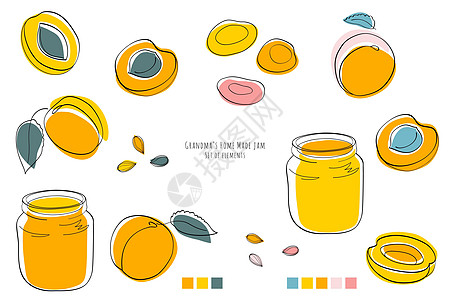 外婆阿瓜家做果酱祖母橙子插图手绘食物草图甜蜜水果糖果蜜饯图片
