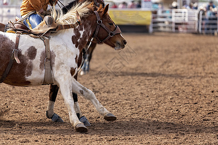 牛仔把无骑士骑马转向罗德奥的中风图片