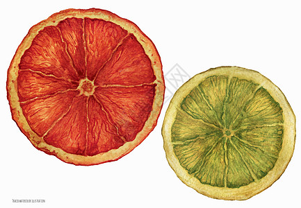 圣诞水彩色 干橙汁切片水彩花圈艺术手绘橙子花环绿色新年圆形图片