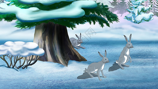 冬天的灰兔图片