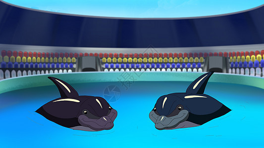 两只海豚在清晨 在海豚馆里笑动物园哺乳动物牧歌游泳海洋荒野场景蓝色卡通片乐趣图片